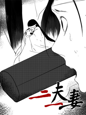 二夫一妻海报