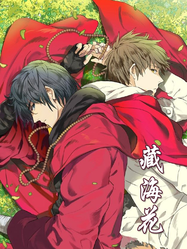 藏海花海报