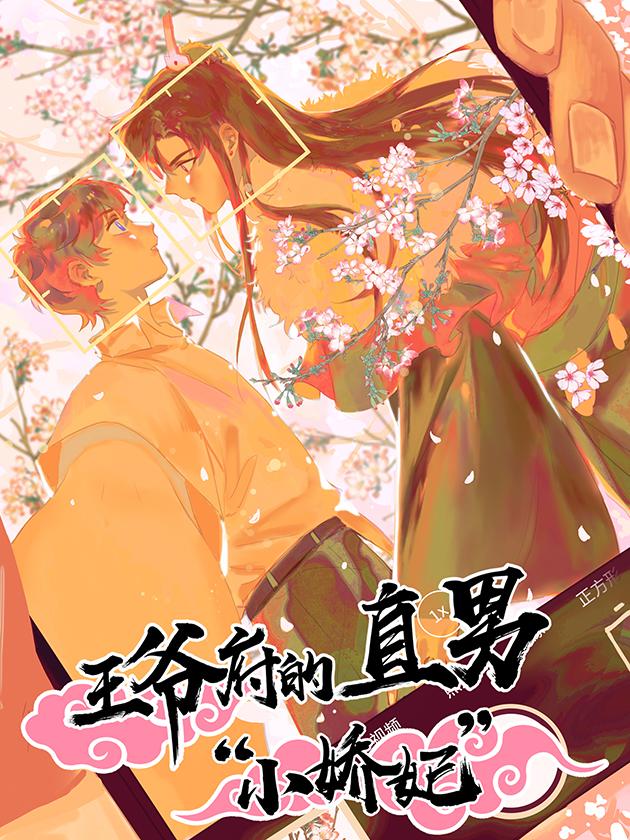 王爷府的直男小娇妃海报