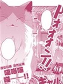 辣妹魔女与猫海报