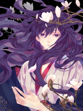 云天谣海报