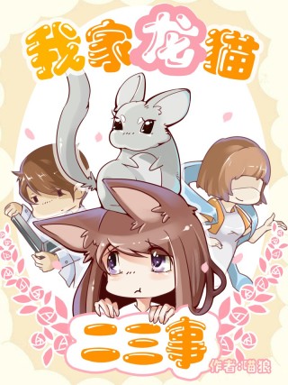 我家龙猫二三事海报