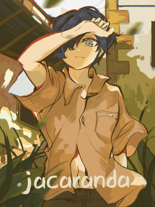 jacaranda海报