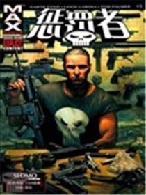 惩罚者V7海报