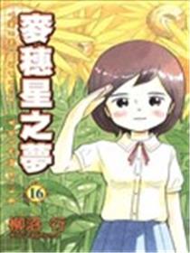 麦穗星之梦海报