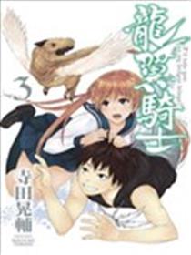 龙翼骑士海报