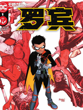 罗宾V5海报