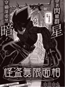 怪盗无限面相海报