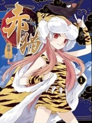 赤猫海报