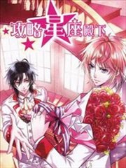 攻略星座殿下海报
