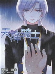 天降骑士海报