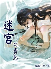 迷宫之青鸟海报
