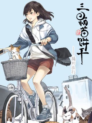 三颗猫饼乾海报