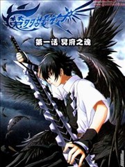 魔羽战记海报