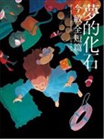 梦的化石海报
