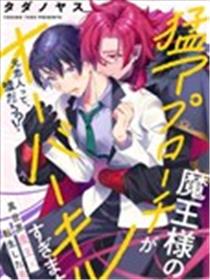 魔王大人的猛烈追求无法招架海报
