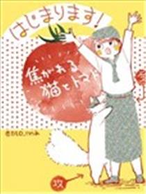 朝思暮想的猫与番茄海报