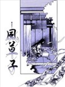 风草子海报