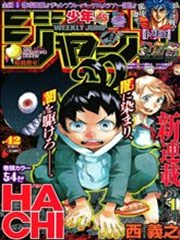 HACHI海报