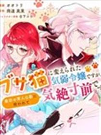 软弱千金变笨猫海报