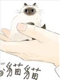 掌心猫猫海报
