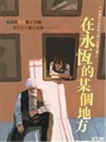 在永恒的某个地方海报