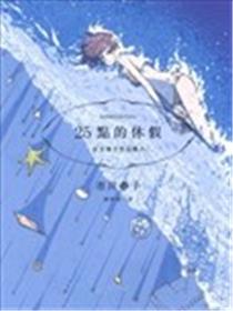 25点的休假海报