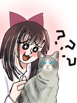 猫警长海报