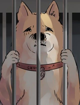 一条狗海报