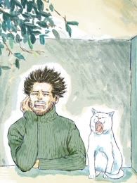 这只猫不太正常海报