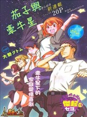 茄子与牵牛星海报