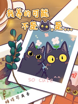 我养的可能不是猫，是...海报