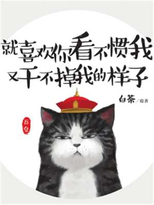 就喜欢你看不惯我又干不掉我的样子海报