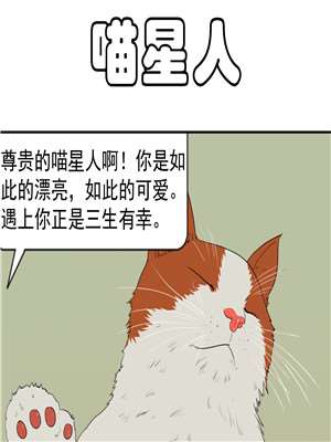 喵星人海报
