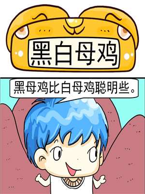黑白母鸡海报