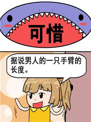 可惜海报