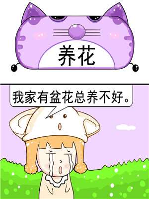 养花海报