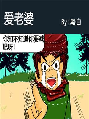 爱老婆海报