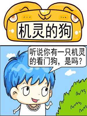 机灵的狗海报