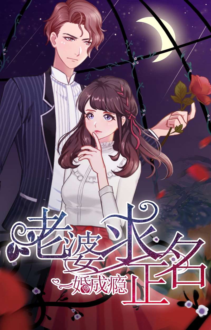 一婚成瘾：老婆求正名海报