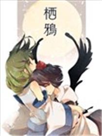 栖鸦海报