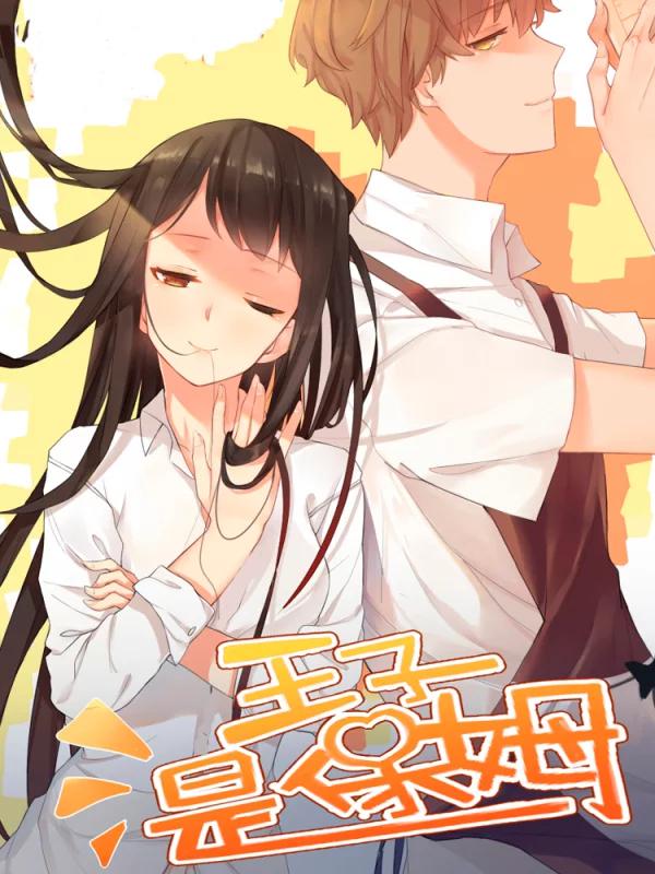 王子是保姆海报
