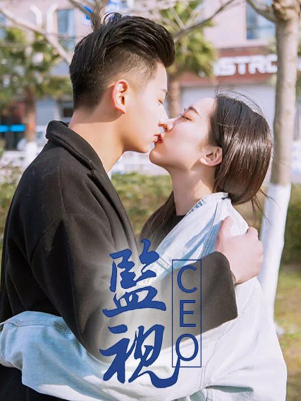 监视CEO海报