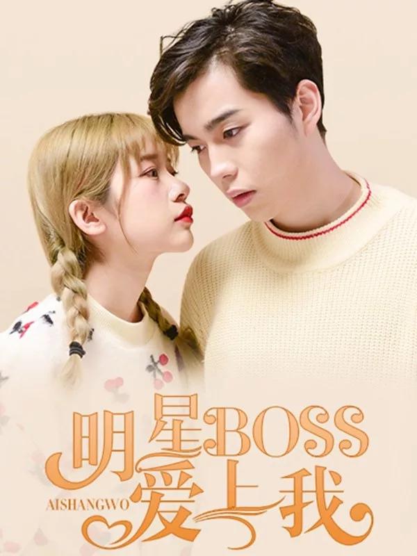 明星boss爱上我海报