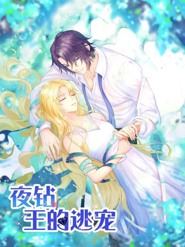 夜钻，王的逃宠海报