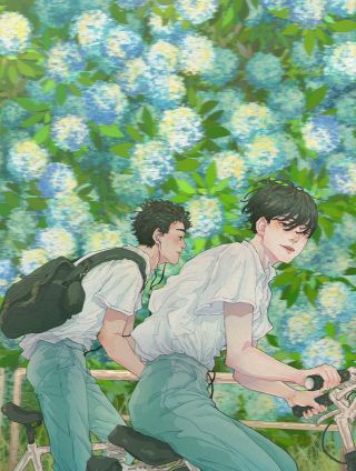 你是我目之所及最美的风景漫画