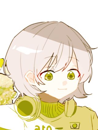 桔梗花开海报