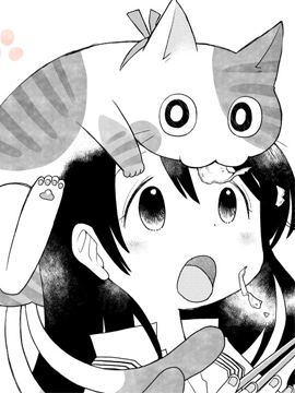 猫又爲我做饭海报