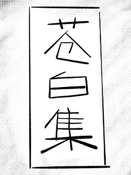 苍白集海报