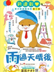 雨过天晴後海报